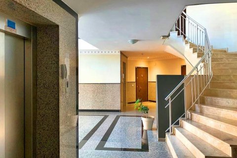 Wohnung  in Cikcilli, Antalya, Türkei Nr. 209052 - 4