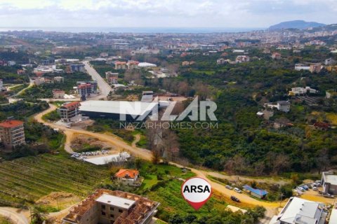 Продажа квартиры  в Аланье, Анталье, Турция студия, 990м2, №189777 – фото 12
