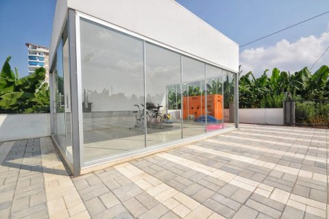Penthouse  i Kargicak, Alanya, Antalya, Tyrkiet Nr. 207685 - 16
