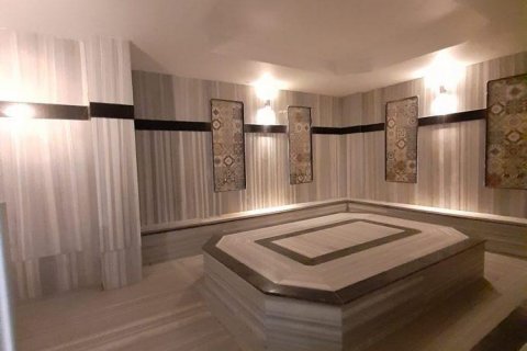 Daire   Kestel, Antalya, Türkiye №209808 - 28