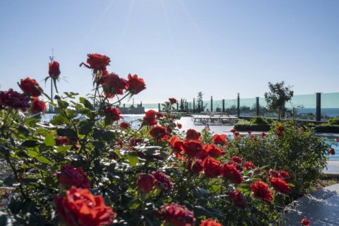 Продажа пентхауса  в Кестеле, Анталье, Турция 3 комн., 124м2, №208849 – фото 13