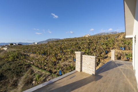 Продажа виллы  в Аланье, Анталье, Турция 8 комн., 600м2, №208852 – фото 29