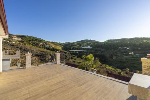 Продажа виллы  в Аланье, Анталье, Турция 8 комн., 600м2, №208852 – фото 28