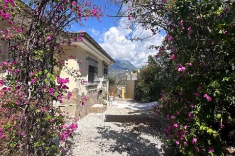 Villa  i Kargicak, Alanya, Antalya, Turkiet Nr. 193822 - 29