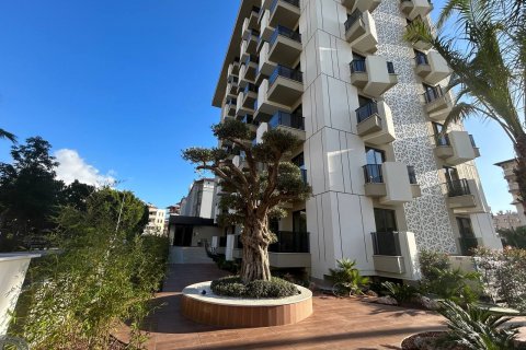 Продажа квартиры  в Аланье, Анталье, Турция 3 комн., 66м2, №189088 – фото 14