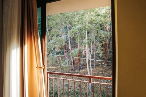 Продажа пентхауса  в Аланье, Анталье, Турция 4 комн., 240м2, №208816 – фото 17