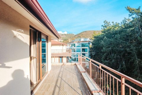 Продажа пентхауса  в Аланье, Анталье, Турция 4 комн., 240м2, №208816 – фото 23