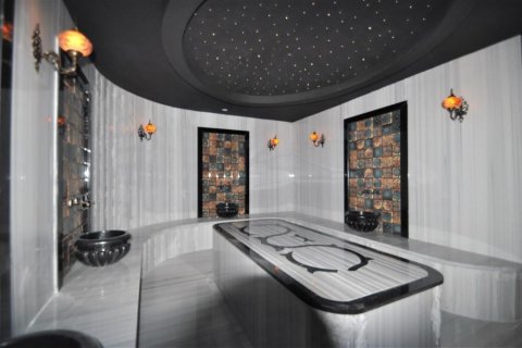 Продажа квартиры  в Кестеле, Анталье, Турция 2 комн., 65м2, №208595 – фото 30