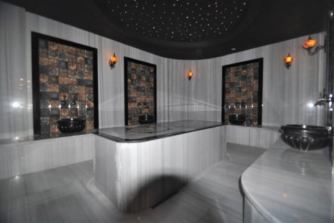 Продажа квартиры  в Кестеле, Анталье, Турция 2 комн., 65м2, №208595 – фото 29