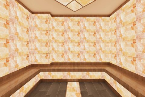 3+1 Penthäuser  in Alanya, Antalya, Türkei Nr. 192198 - 22