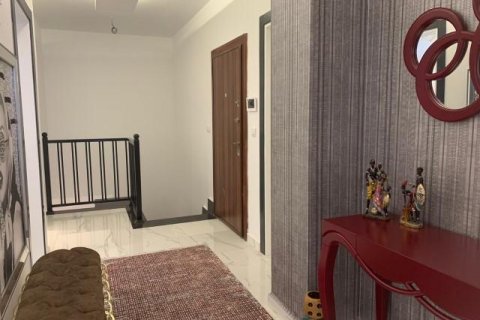 پنت هاس در Mahmutlar ، ترکیه 160 متر مربع. شماره 209176 - 12