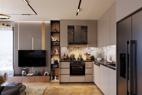 1+1 Wohnung  in Antalya, Türkei Nr. 211297 - 11