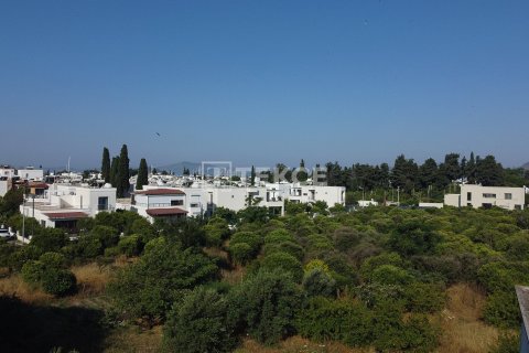 Продажа земельного участка в Бодруме, Мугле, Турция, 18000м2, №192452 – фото 4