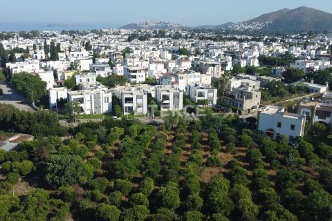 Продажа земельного участка в Бодруме, Мугле, Турция, 18000м2, №192452 – фото 3