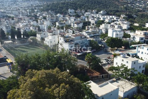 Продажа земельного участка в Бодруме, Мугле, Турция, 18000м2, №192452 – фото 7