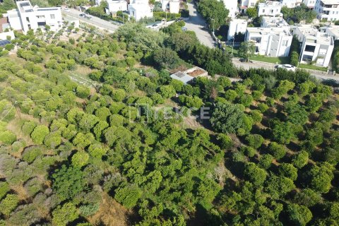 Продажа земельного участка в Бодруме, Мугле, Турция, 18000м2, №192452 – фото 5
