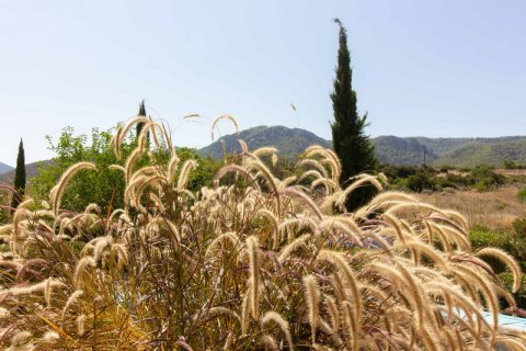 2+1 Lejlighed  i Girne,  Nr. 190972 - 25