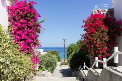 2+1 Lejlighed  i Girne,  Nr. 190972 - 24