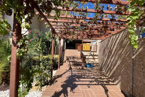 Wohnung in Cikcilli, Antalya, Türkei Nr. 207212 - 10