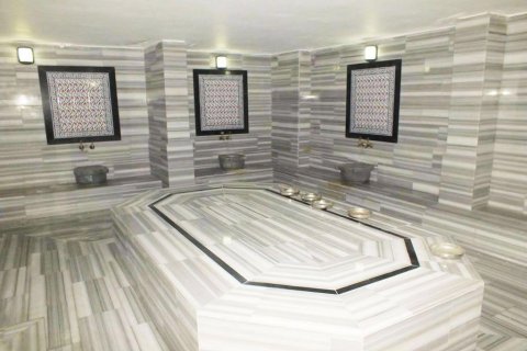 آپارتمان در  Kestel ، ترکیه 135 متر مربع.  شماره 207216 - 12