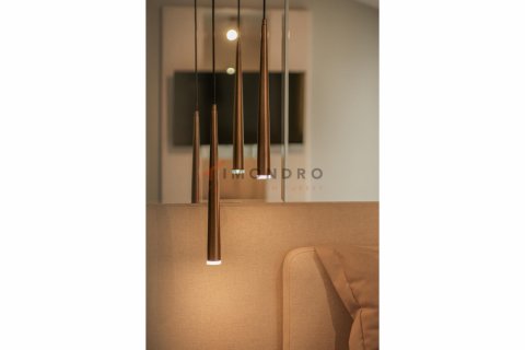 آپارتمان در Beyoglu،  Istanbul ، ترکیه 86 متر مربع.  شماره 194025 - 29