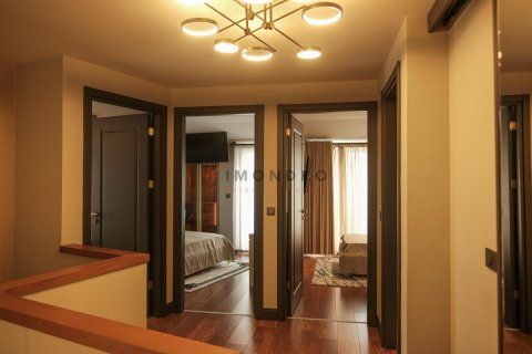 2+1 Wohnung  in Beyoglu, Istanbul, Türkei Nr. 194026 - 20