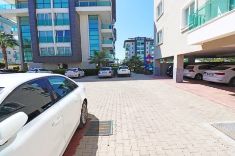 آپارتمان در  Kestel ، ترکیه 115 متر مربع.  شماره 209656 - 5