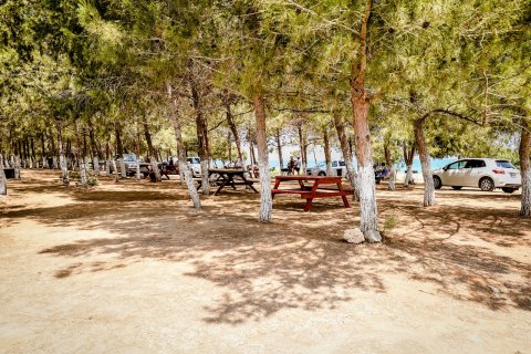 آپارتمان در  Iskele ، ترکیه 79 متر مربع.  شماره 210574 - 13