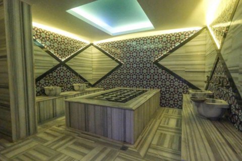 آپارتمان در  Mahmutlar ، ترکیه 230 متر مربع.  شماره 208408 - 12
