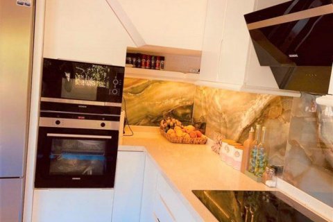 Villa  i Kestel, Antalya, Turkiet Nr. 208411 - 29