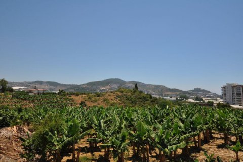 آپارتمان در  Mahmutlar ، ترکیه 100 متر مربع.  شماره 209549 - 28