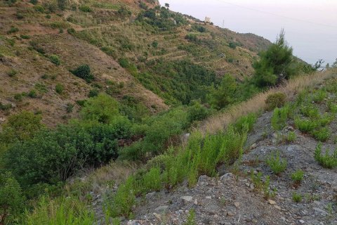 Продажа земельного участка в Аланье, Анталье, Турция, 1700м2, №209860 – фото 4