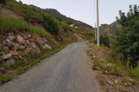 Продажа земельного участка в Аланье, Анталье, Турция, 1700м2, №209860 – фото 8