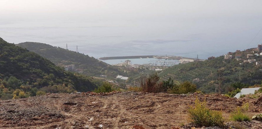 Земельный участок 1700м2 в Аланье, Анталья, Турция №209860