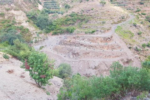 Продажа земельного участка в Аланье, Анталье, Турция, 1700м2, №209860 – фото 3