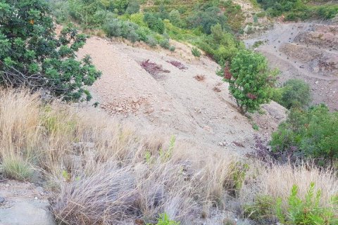 Продажа земельного участка в Аланье, Анталье, Турция, 1700м2, №209860 – фото 6