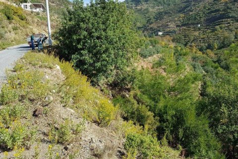 Продажа земельного участка в Аланье, Анталье, Турция, 1700м2, №209860 – фото 13