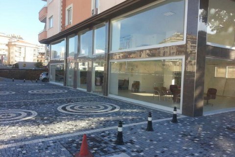 Продажа коммерческой недвижимости  в Аланье, Анталье, Турция, 520м2, №209859 – фото 4