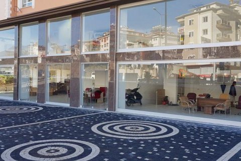Продажа коммерческой недвижимости  в Аланье, Анталье, Турция, 520м2, №209859 – фото 3