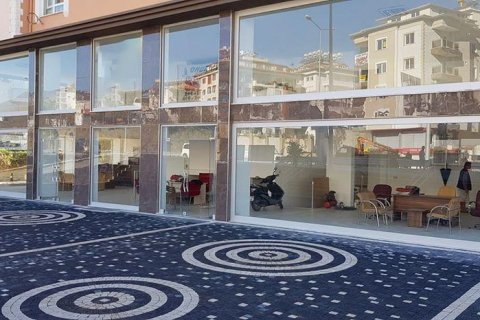 Продажа коммерческой недвижимости  в Аланье, Анталье, Турция, 520м2, №209859 – фото 6