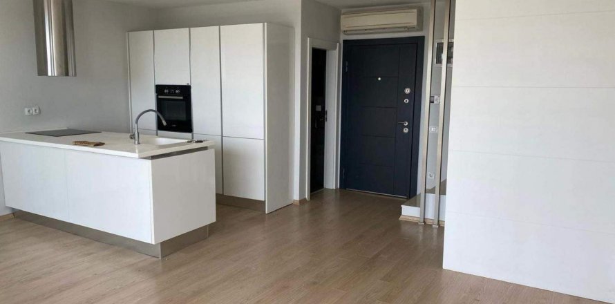 2+1 Apartment in Muratpasa, Antalya, Turkey No. 210341