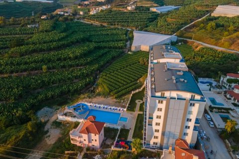 Penthäuser  in Mahmutlar, Antalya, Türkei Nr. 210063 - 6