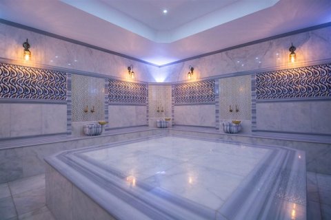 Penthäuser  in Mahmutlar, Antalya, Türkei Nr. 210063 - 23