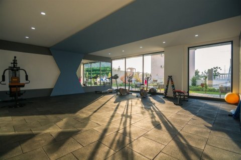 Penthäuser  in Mahmutlar, Antalya, Türkei Nr. 210063 - 17