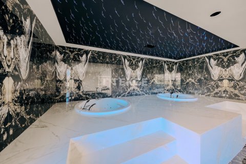 1+1 Wohnung  in Alanya, Antalya, Türkei Nr. 146136 - 14