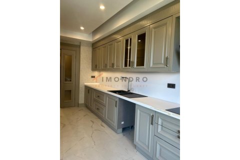 5+1 Lägenhet  i Zeytinburnu, Istanbul, istanbul, Turkiet Nr. 152111 - 18