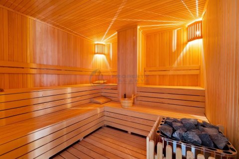 2+1 Lejlighed i Alanya, Antalya, Tyrkiet Nr. 211537 - 19