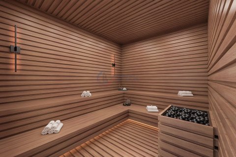 1+1 Wohnung  in Alanya, Antalya, Türkei Nr. 211538 - 24