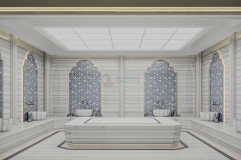 1+1 Wohnung  in Alanya, Antalya, Türkei Nr. 211538 - 23