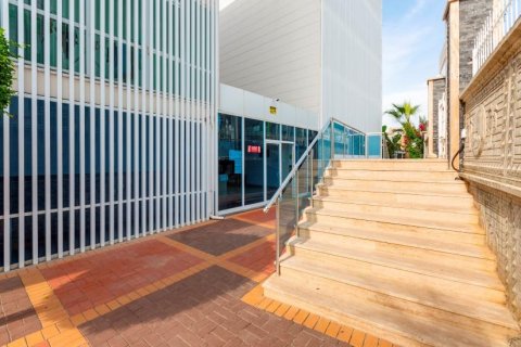 Leilighet  i Kestel, Antalya, Tyrkia Nr. 209982 - 7